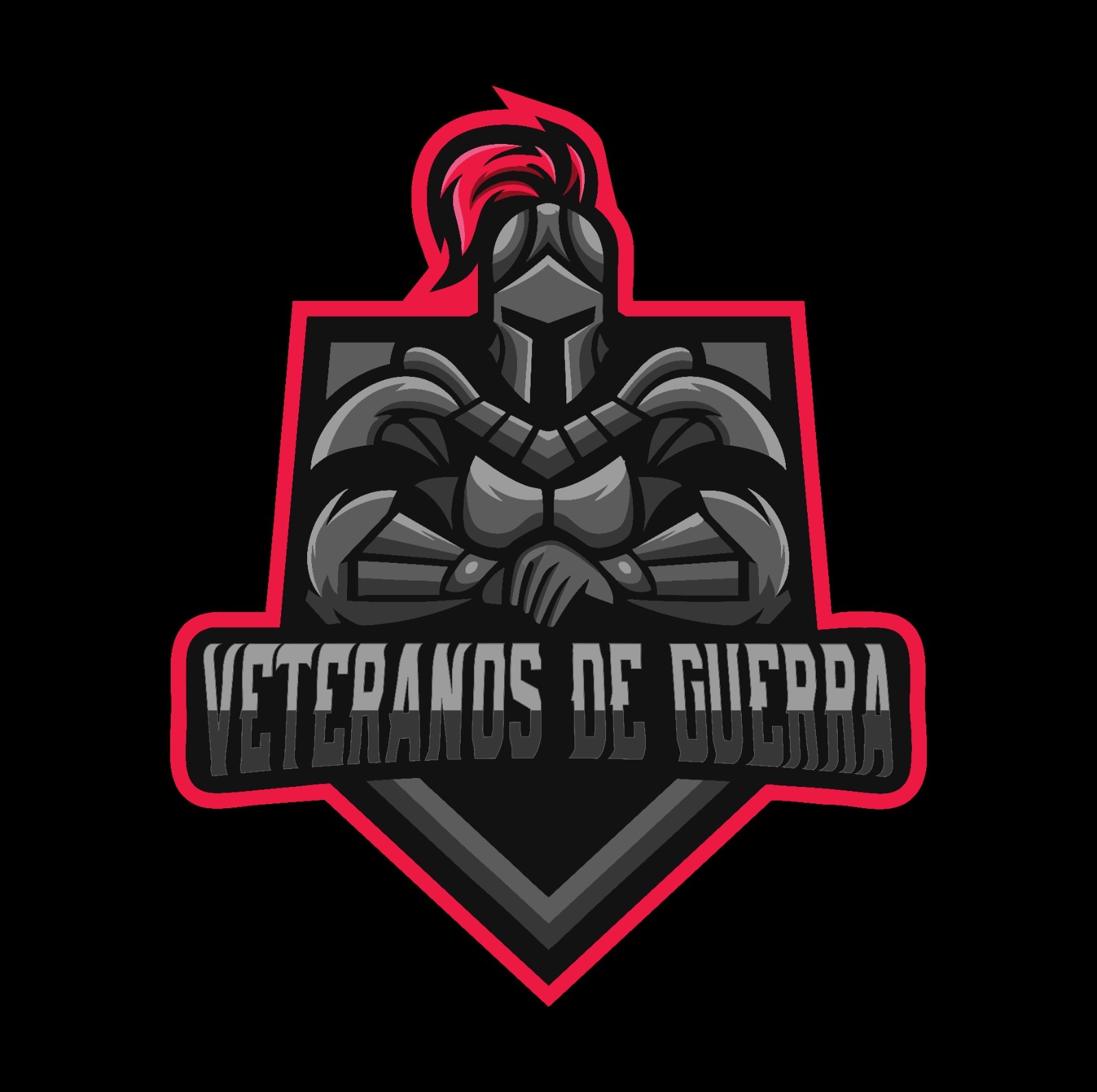 Veteranos de guerra